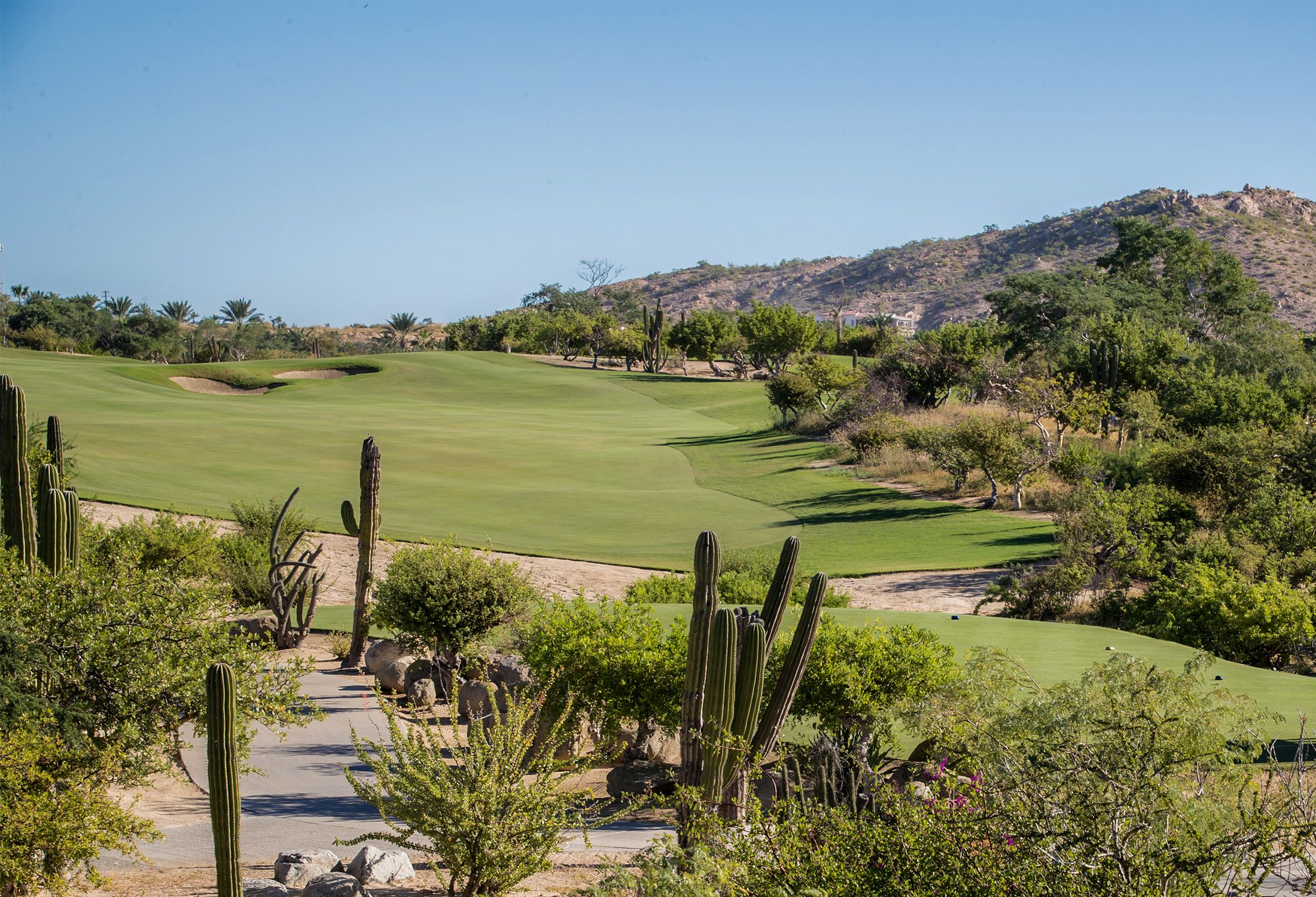 Desert Course Cabo Del Sol